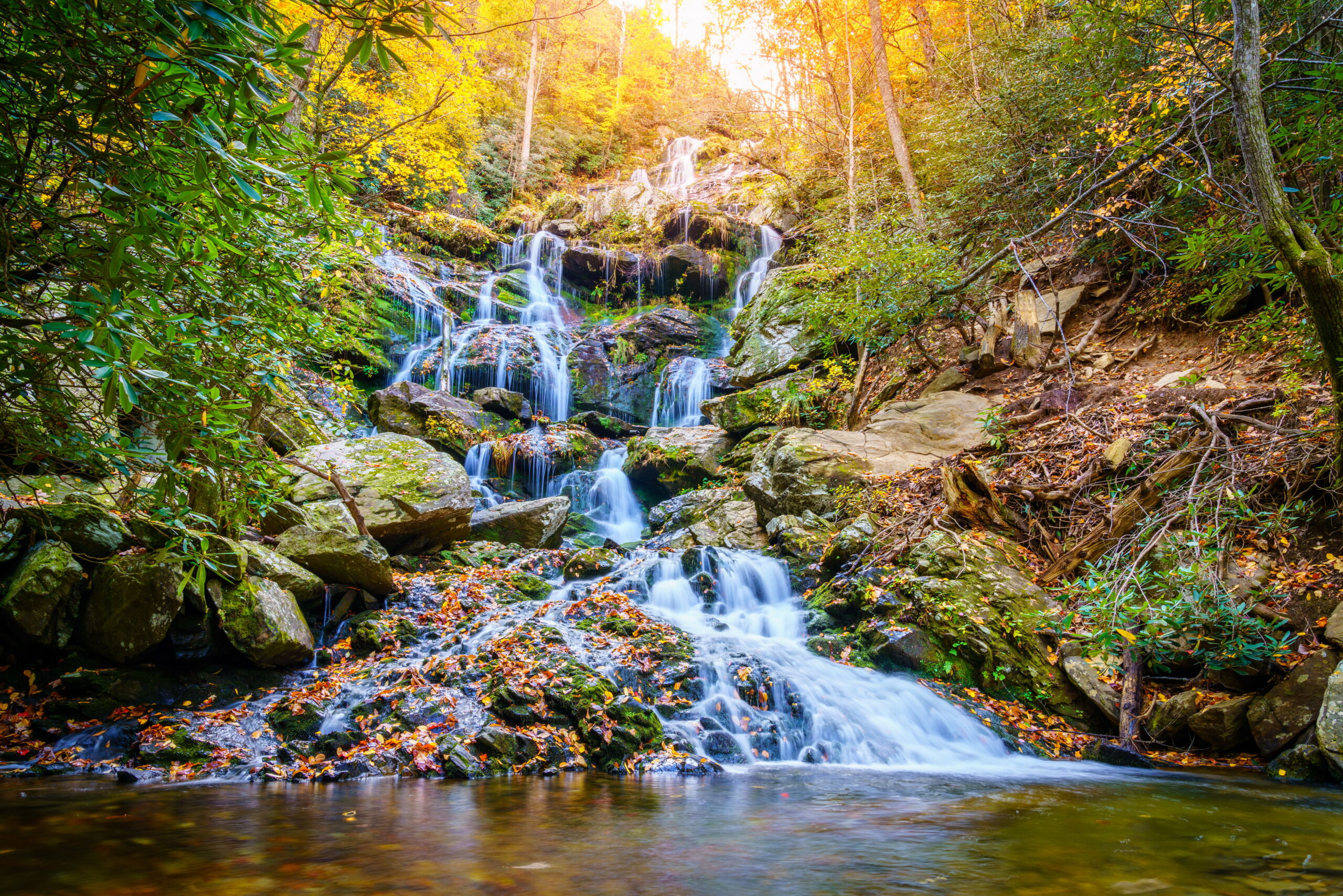 Waterfall in Pisgah National Forest surrounded by greenery